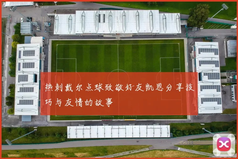 热刺戴尔点球致敬好友凯恩分享技巧与友情的故事